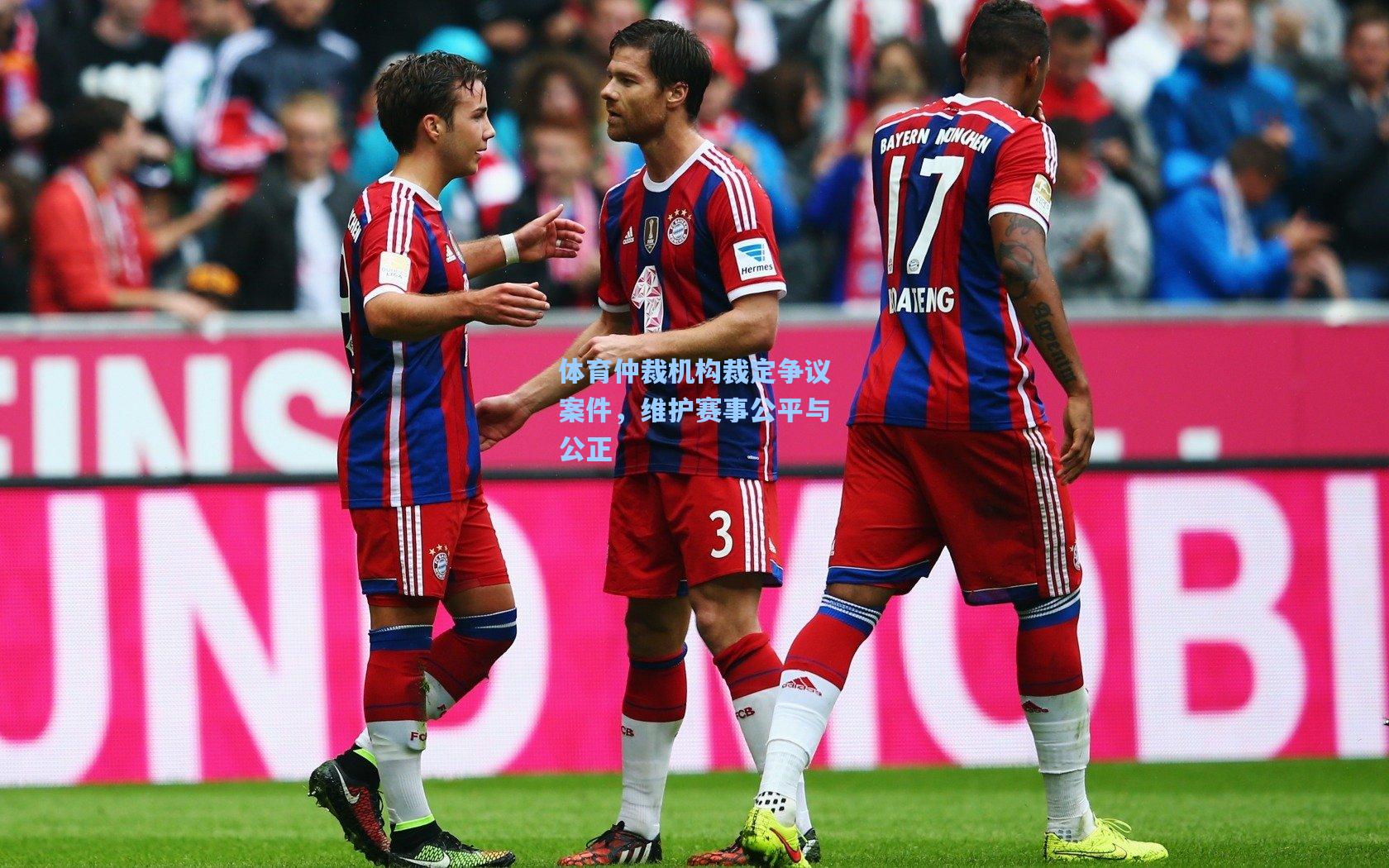 体育仲裁机构裁定争议案件，维护赛事公平与公正