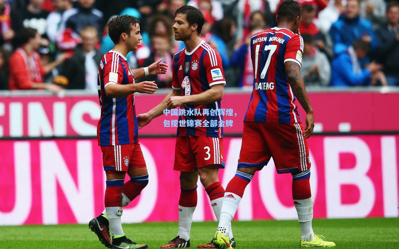 中国跳水队再创辉煌，包揽世锦赛全部金牌